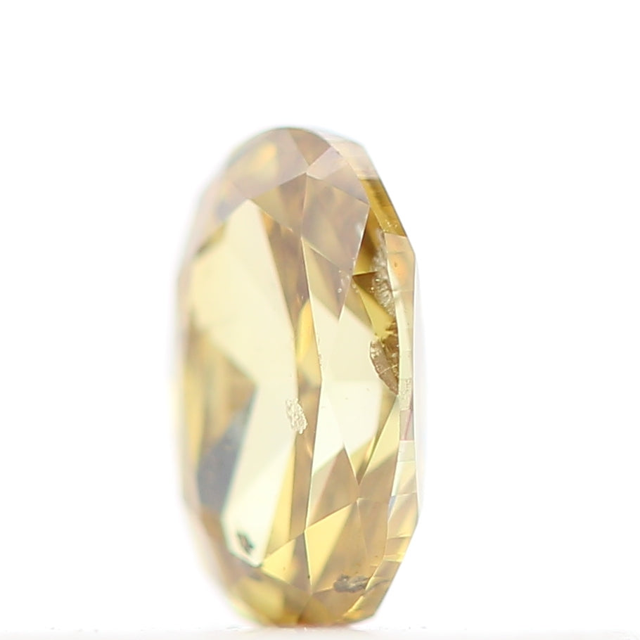 ClariOLED Transparent OLED Display price