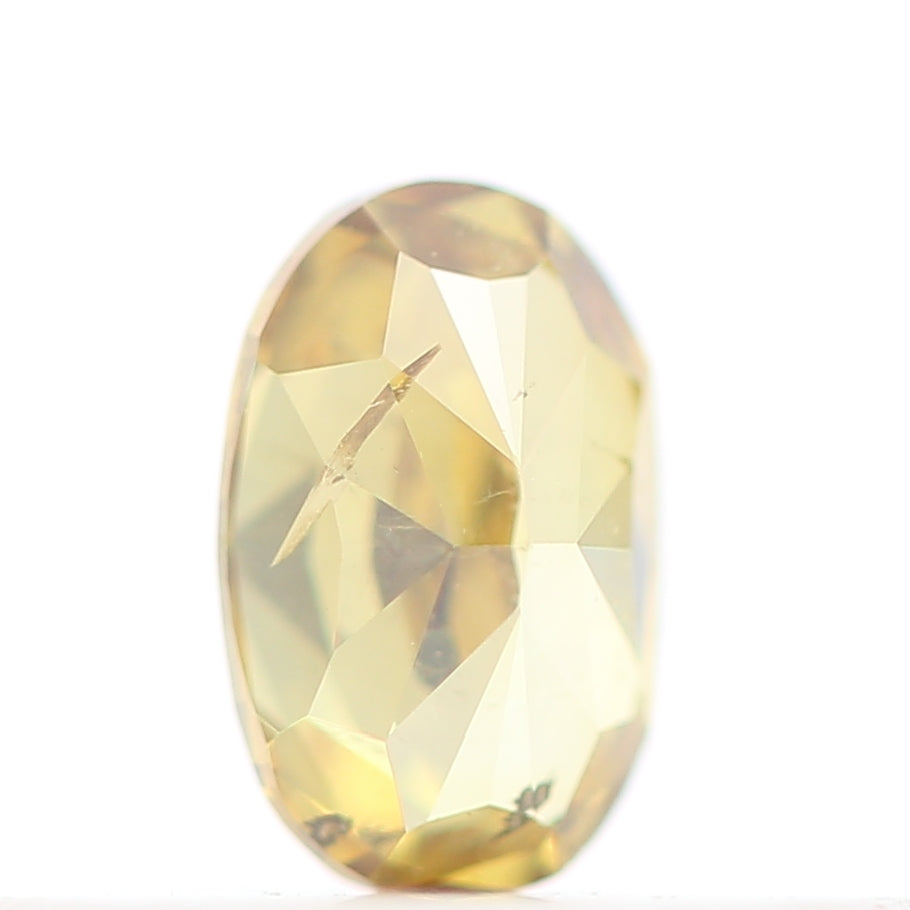 ClariOLED Transparent OLED Display price