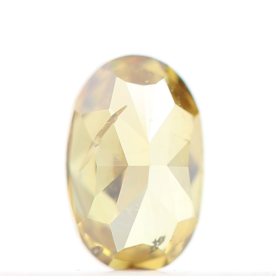 ClariOLED Transparent OLED Display price