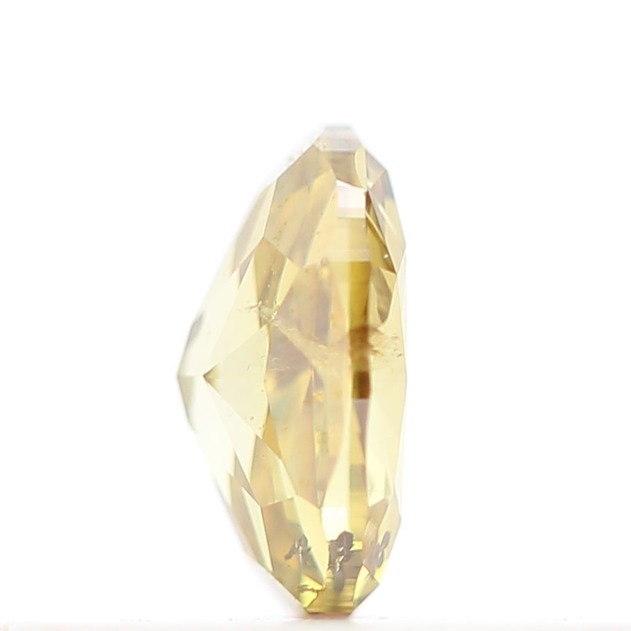 ClariOLED Transparent OLED Display price