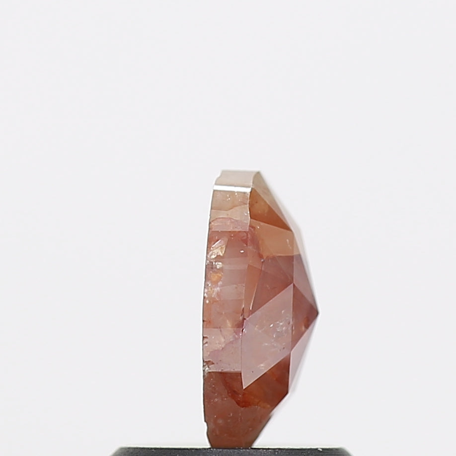 ClariOLED Transparent OLED Display price