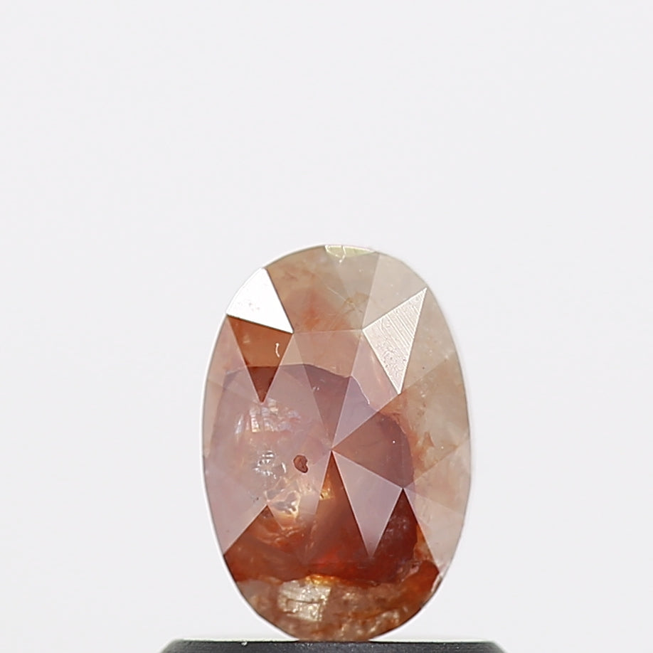 ClariOLED Transparent OLED Display price