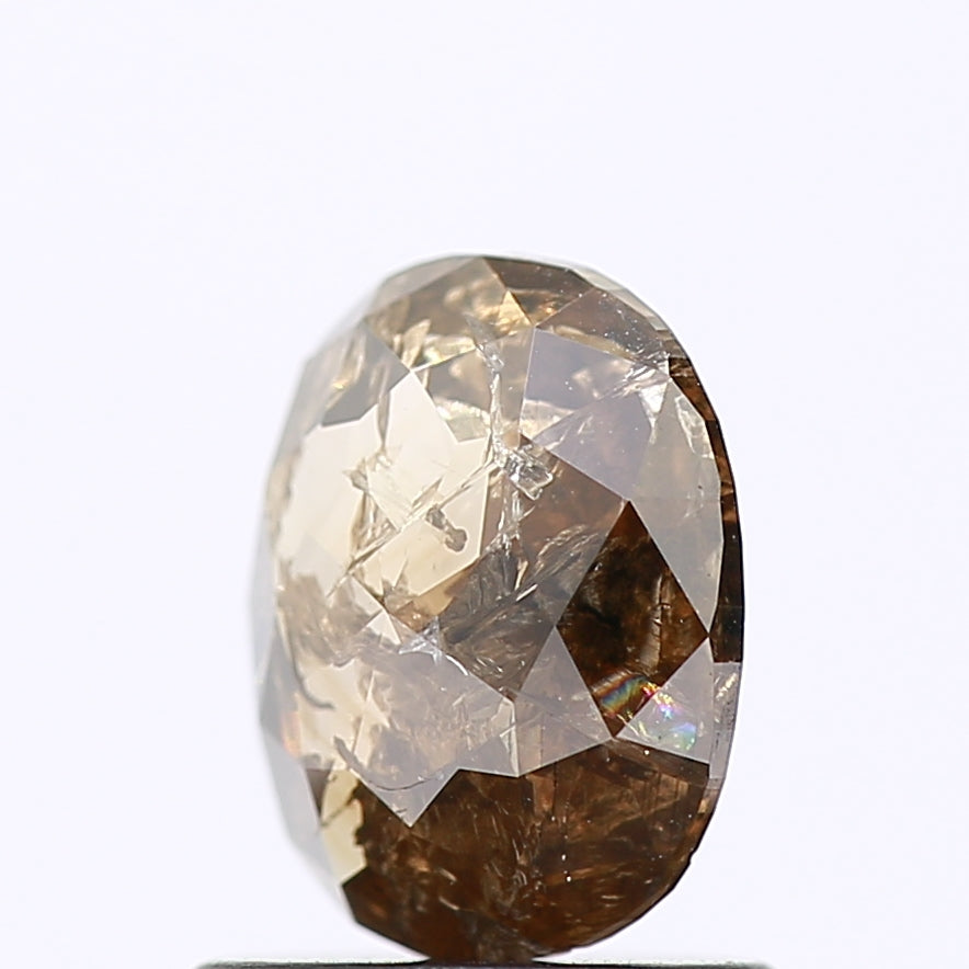 ClariOLED Transparent OLED Display price