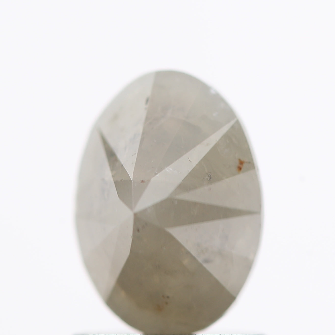 ClariOLED Transparent OLED Display price