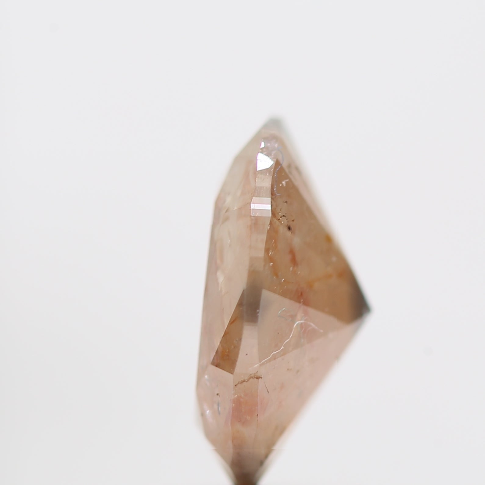 ClariOLED Transparent OLED Display price