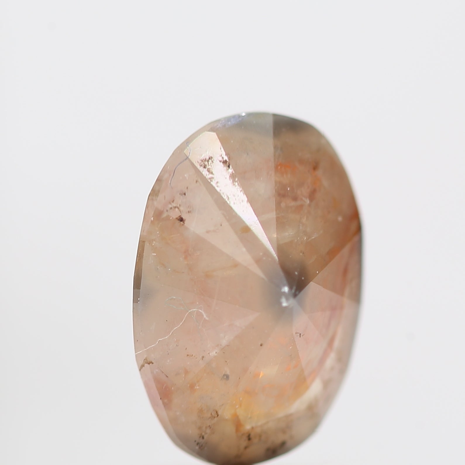 ClariOLED Transparent OLED Display price