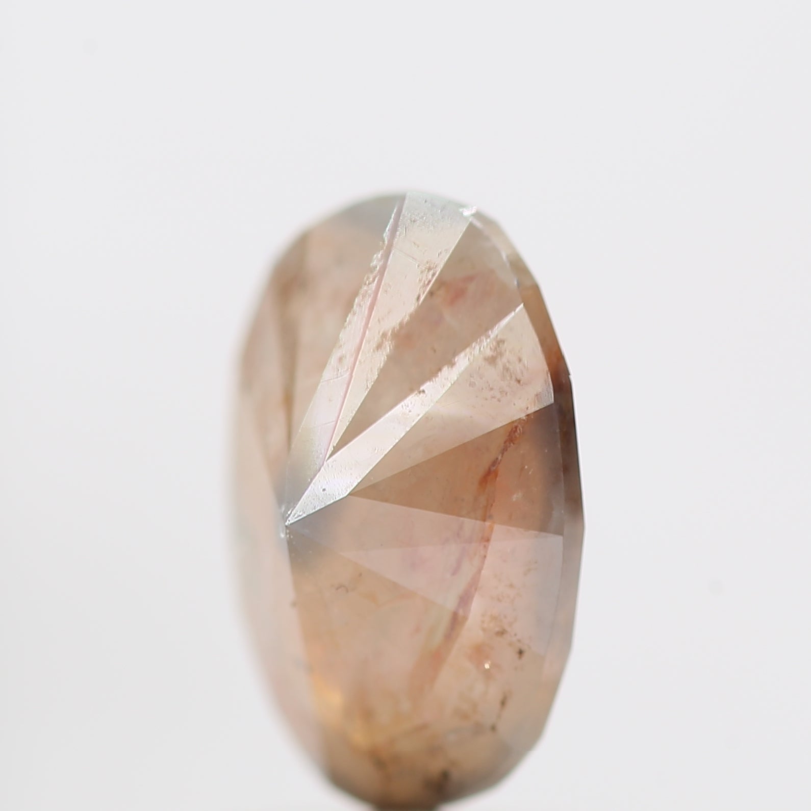 ClariOLED Transparent OLED Display price