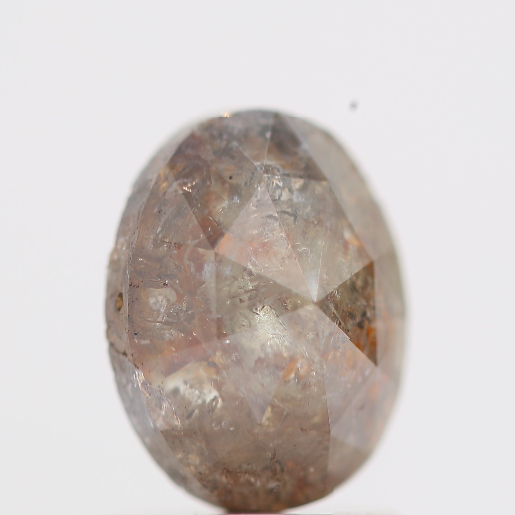 ClariOLED Transparent OLED Display price