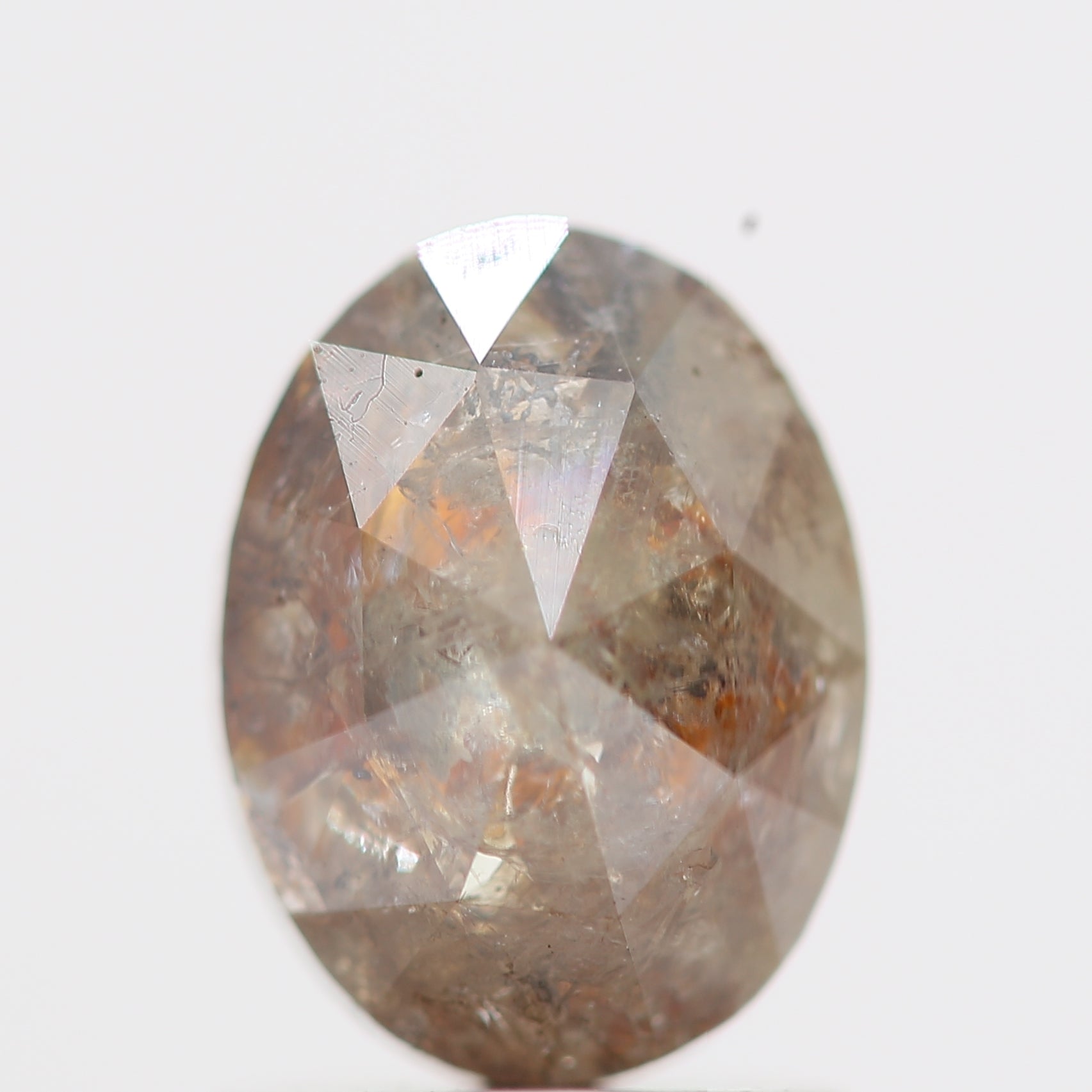 ClariOLED Transparent OLED Display price