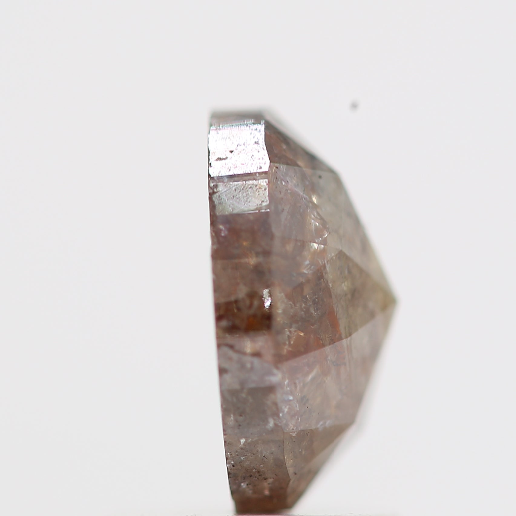 ClariOLED Transparent OLED Display price