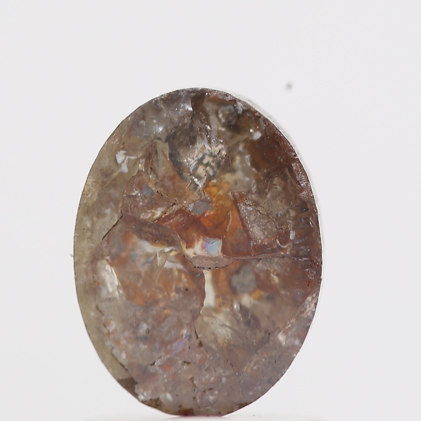 ClariOLED Transparent OLED Display price