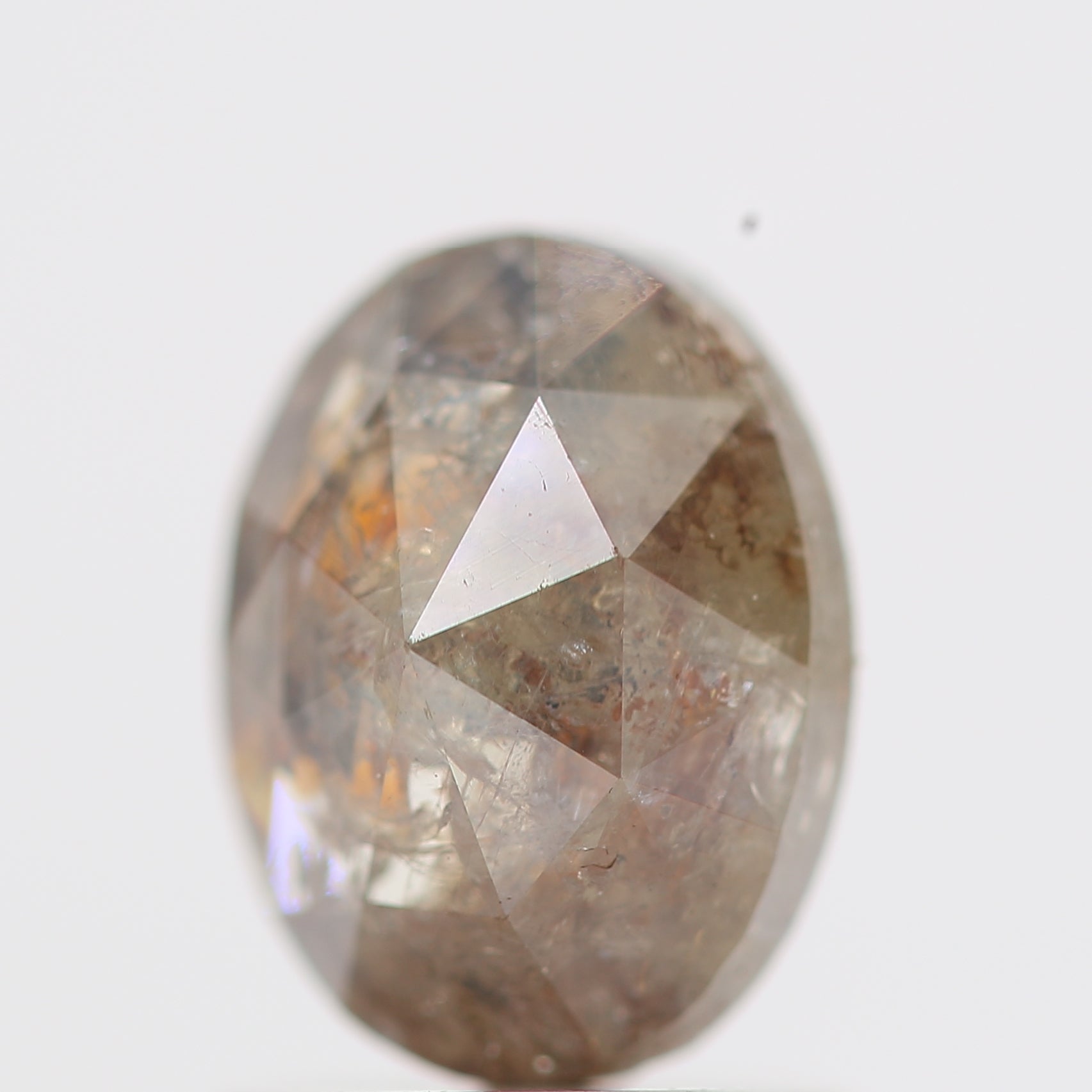 ClariOLED Transparent OLED Display price