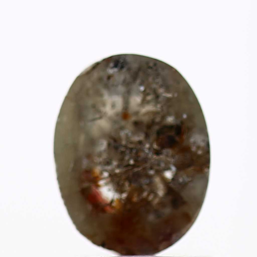 ClariOLED Transparent OLED Display price