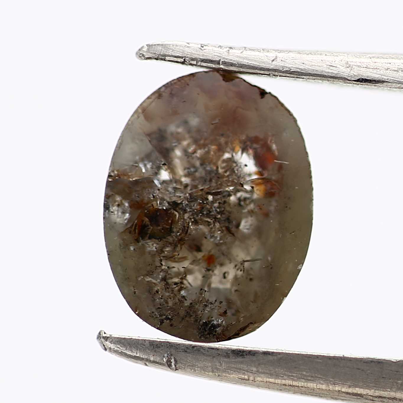 ClariOLED Transparent OLED Display price