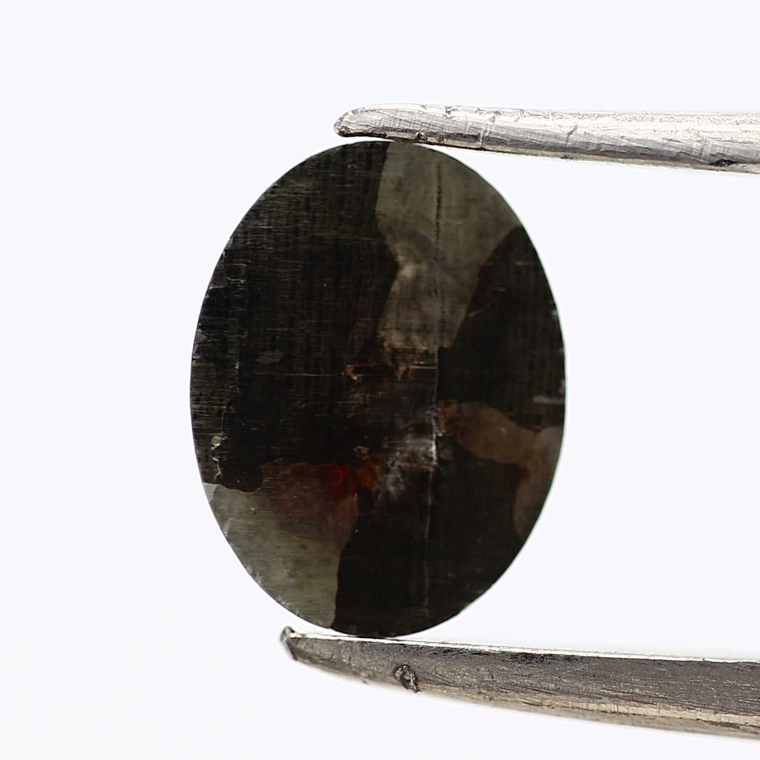 ClariOLED Transparent OLED Display price