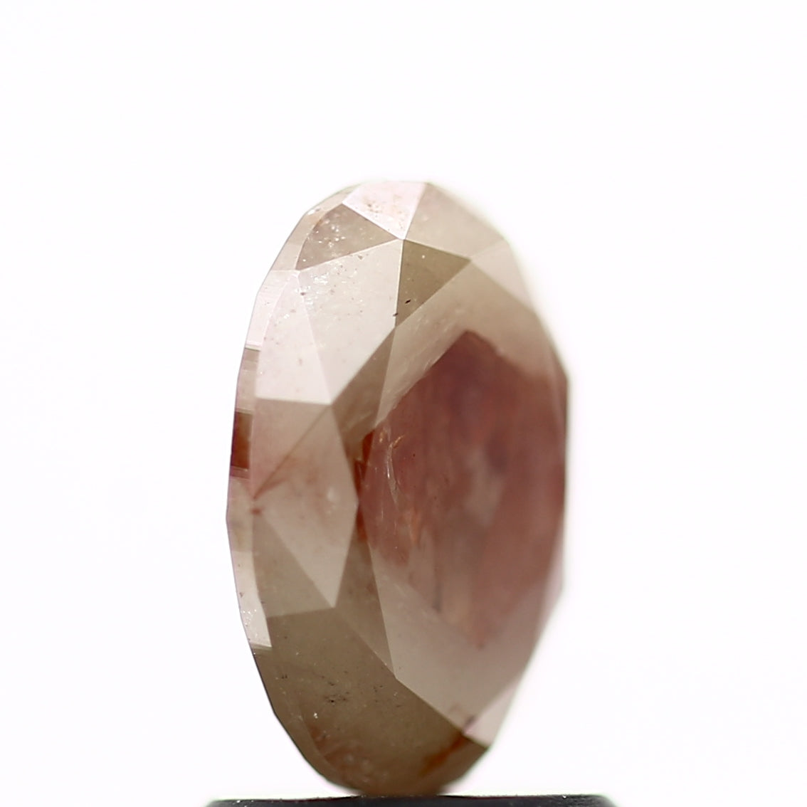 ClariOLED Transparent OLED Display price