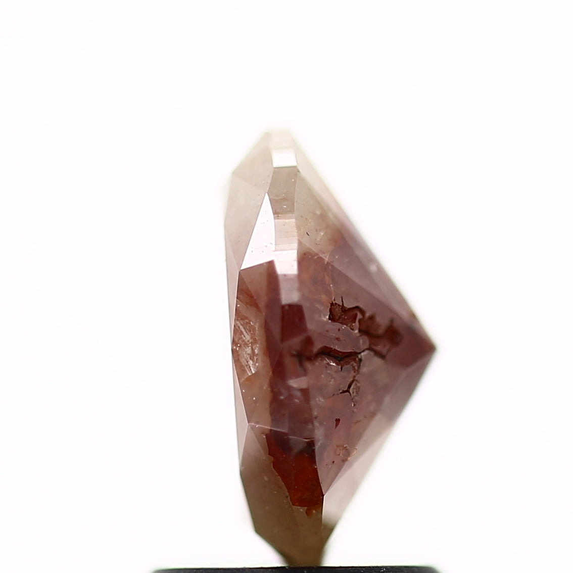 ClariOLED Transparent OLED Display price