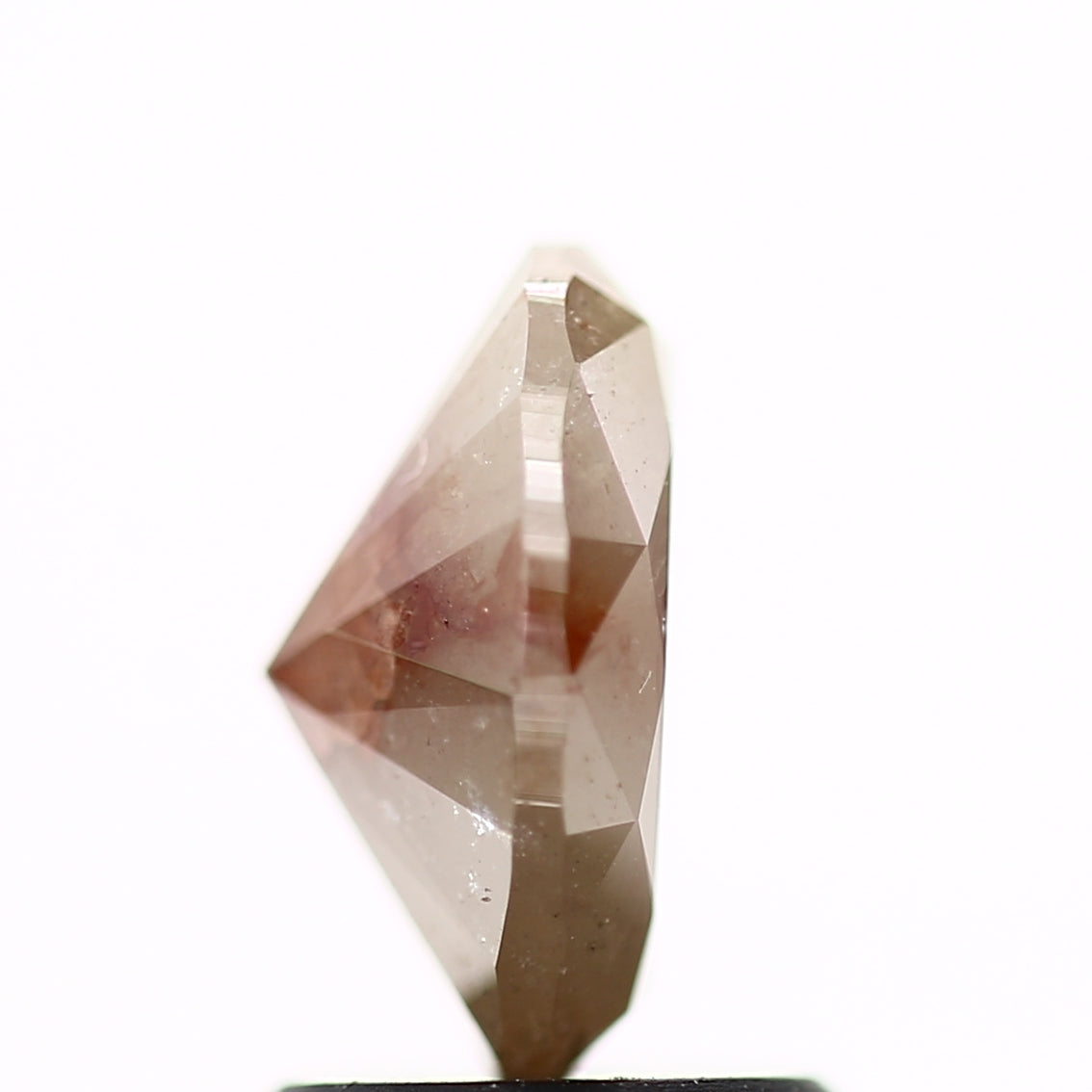 ClariOLED Transparent OLED Display price