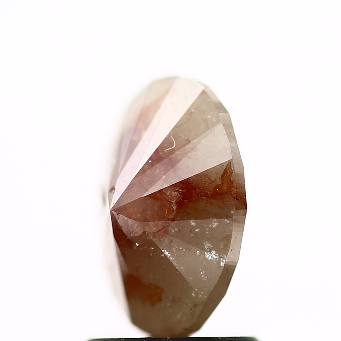 ClariOLED Transparent OLED Display price