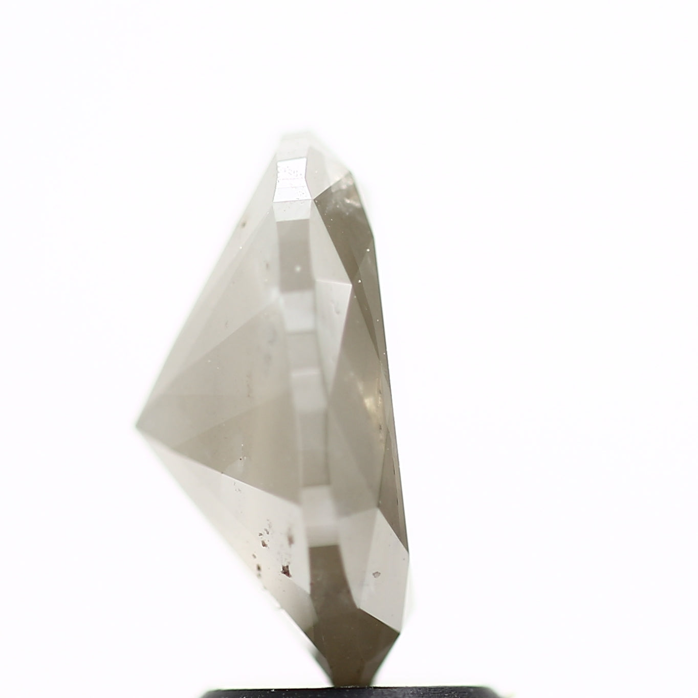 ClariOLED Transparent OLED Display price