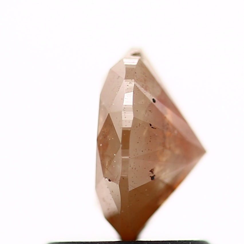 ClariOLED Transparent OLED Display price