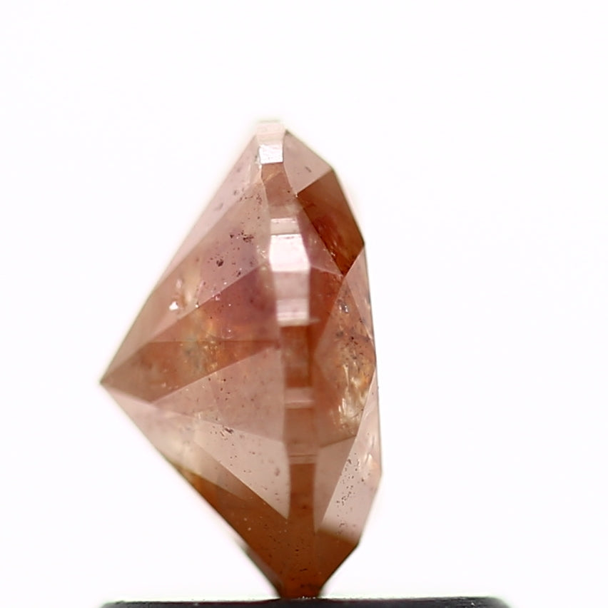 ClariOLED Transparent OLED Display price