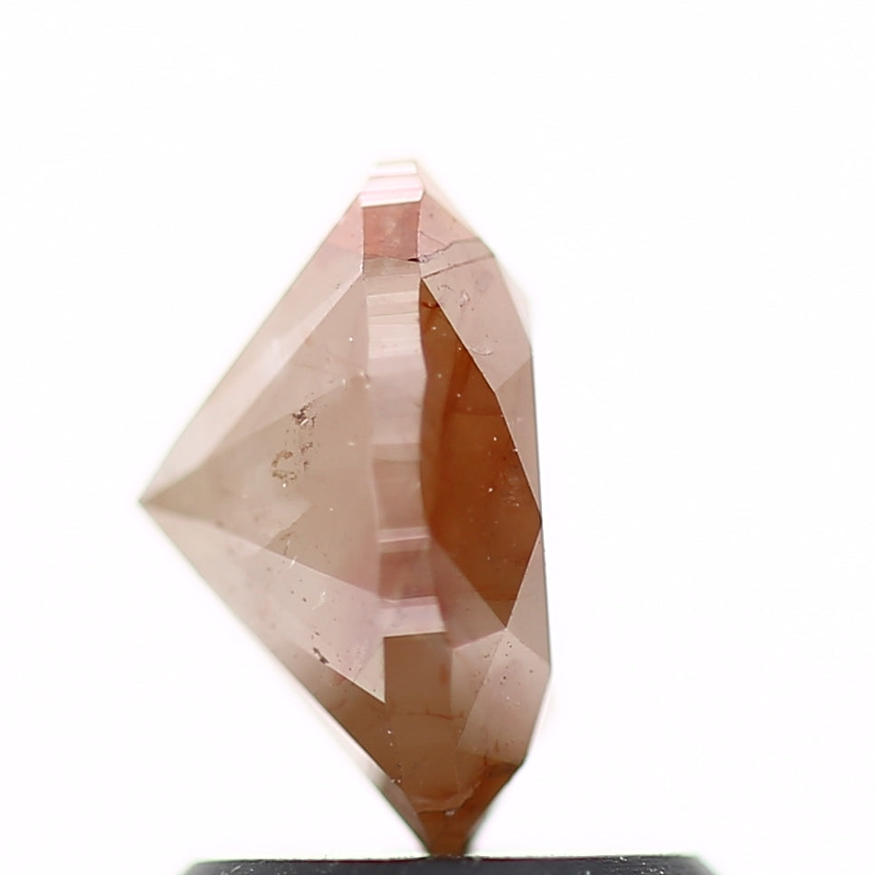 ClariOLED Transparent OLED Display price