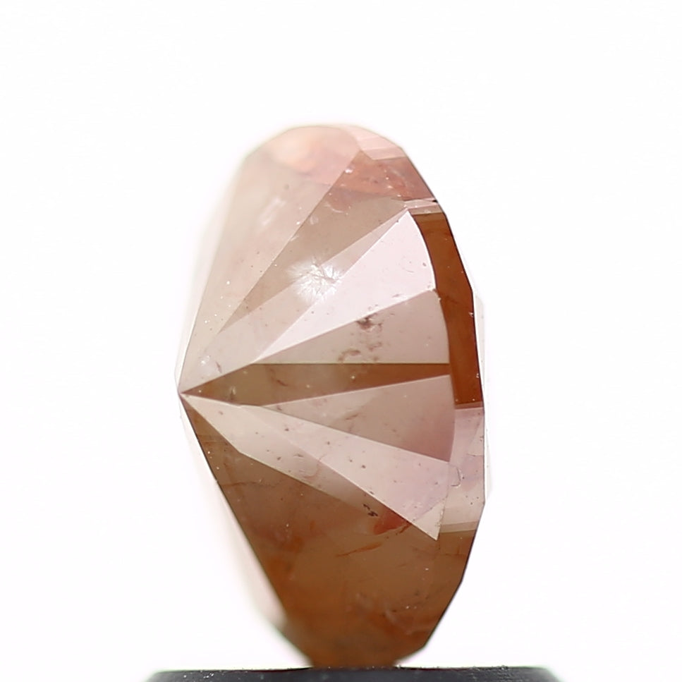 ClariOLED Transparent OLED Display price