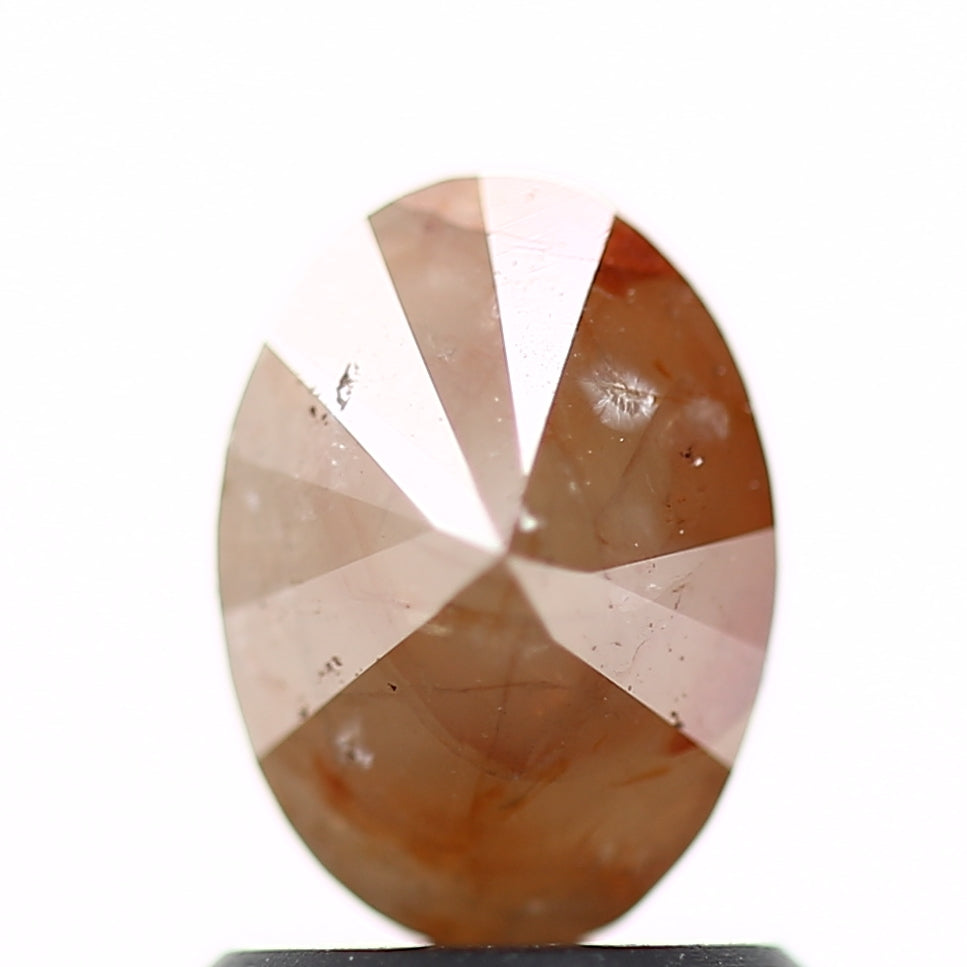 ClariOLED Transparent OLED Display price