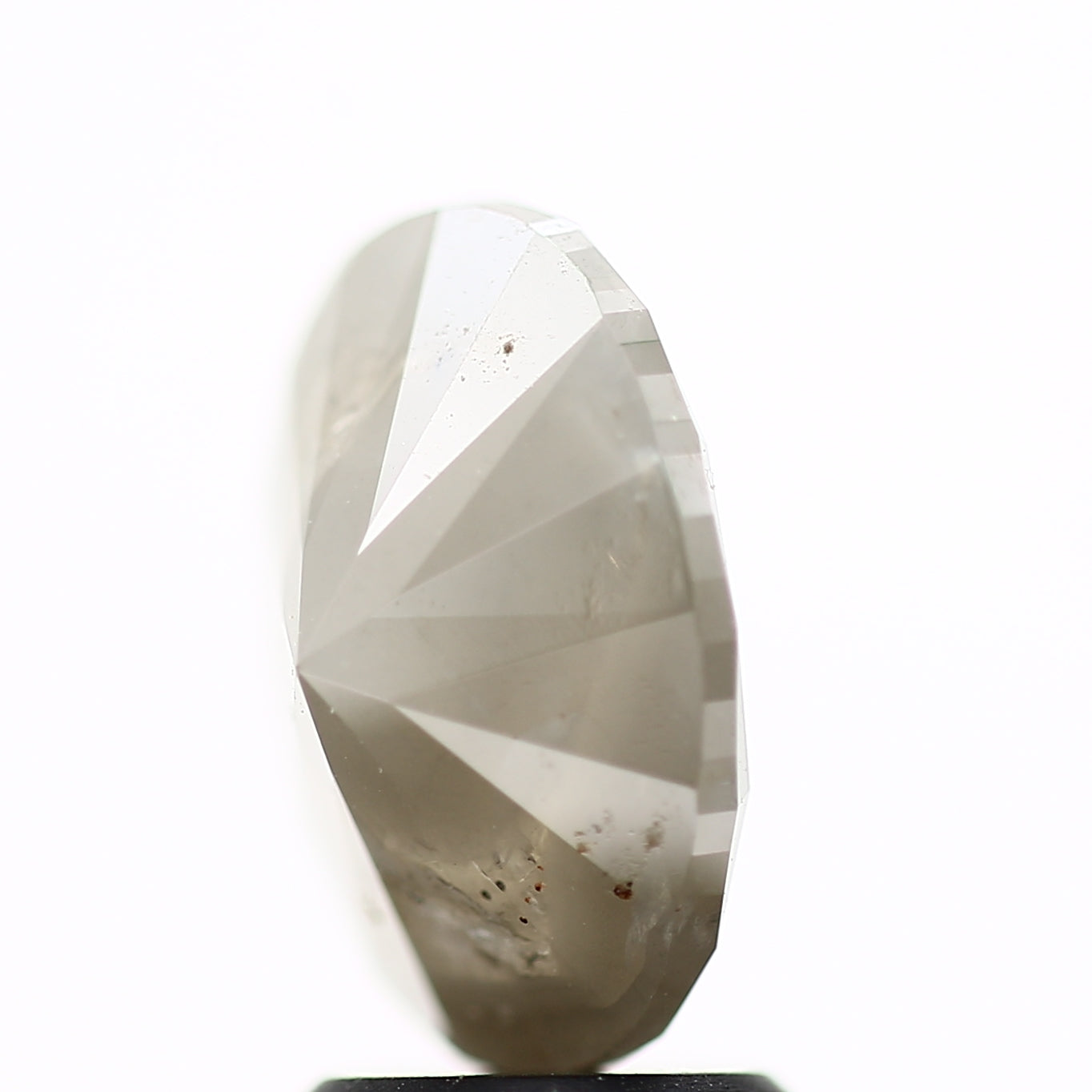 ClariOLED Transparent OLED Display price