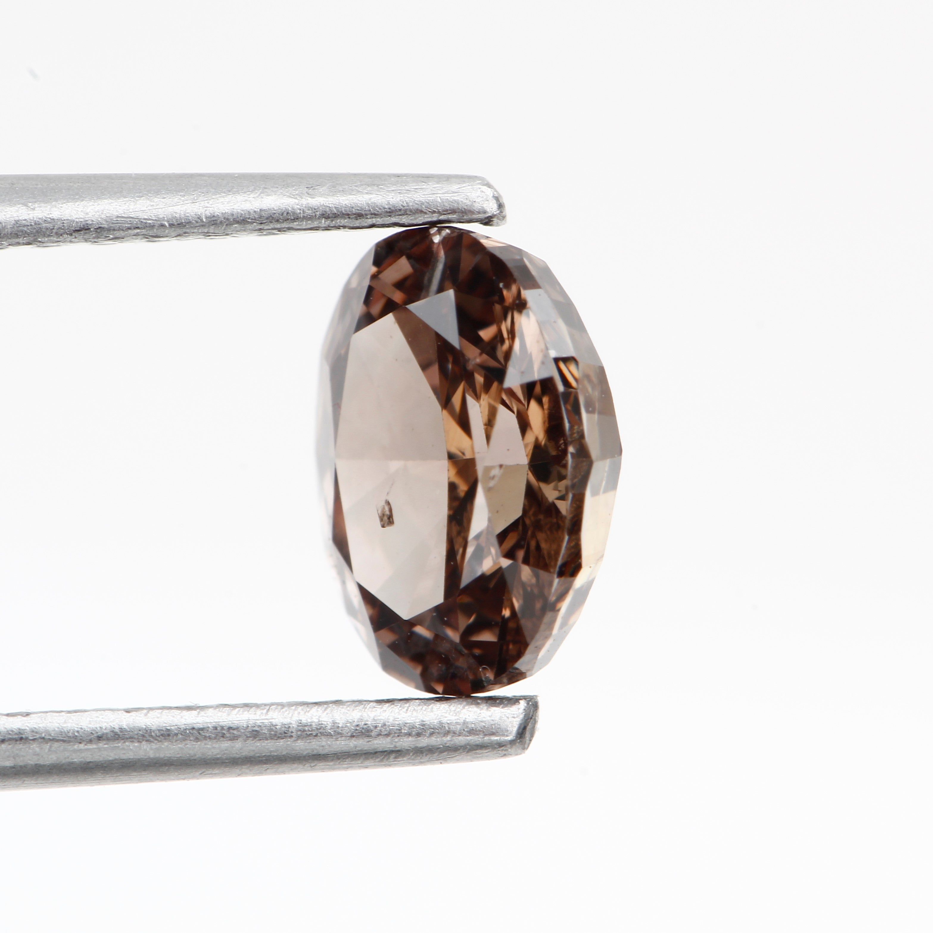 ClariOLED Transparent OLED Display price