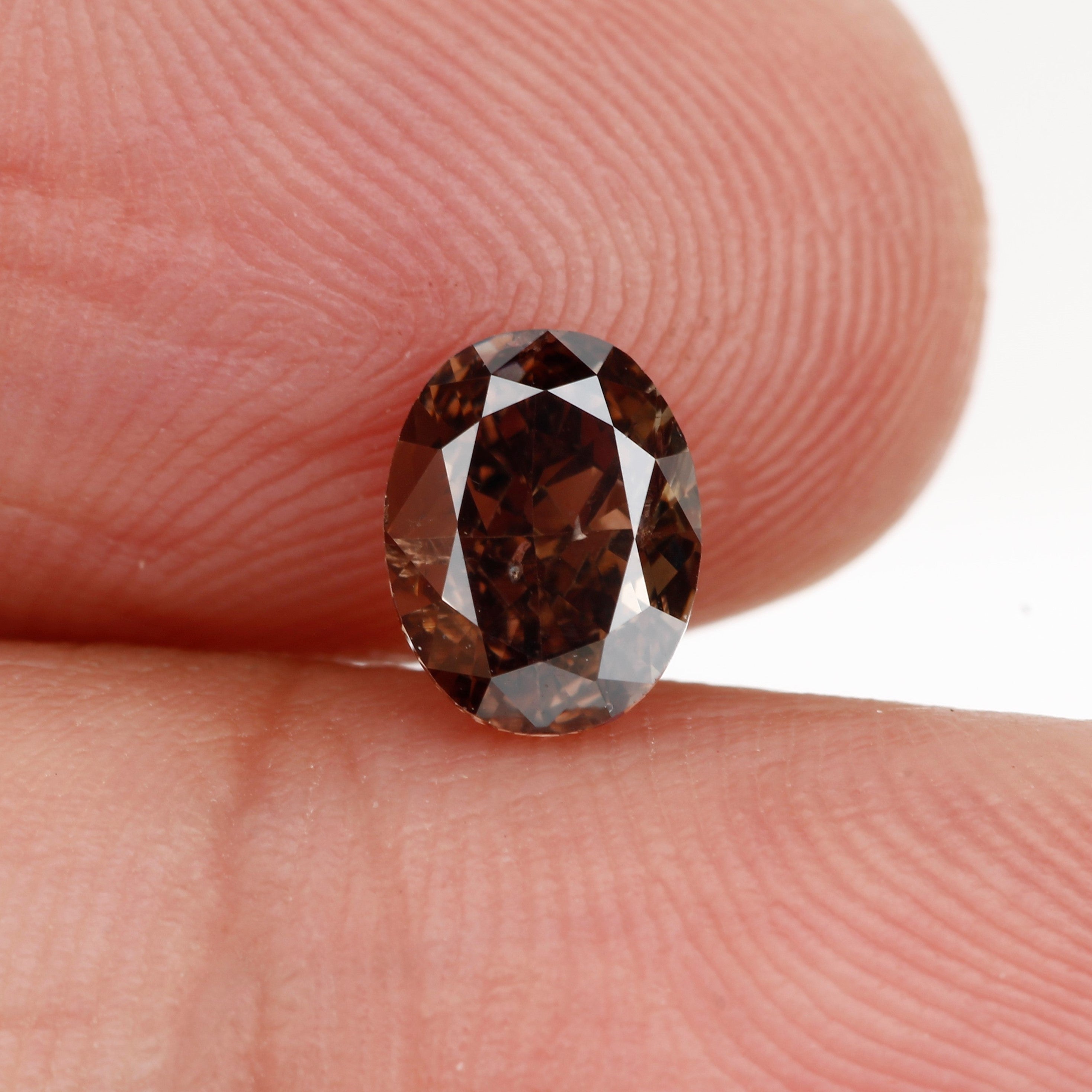 ClariOLED Transparent OLED Display price