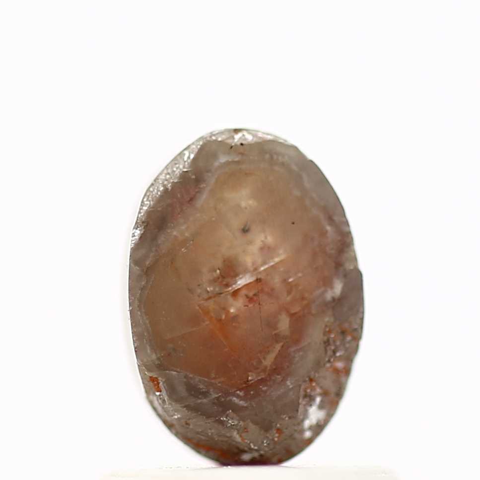 ClariOLED Transparent OLED Display price