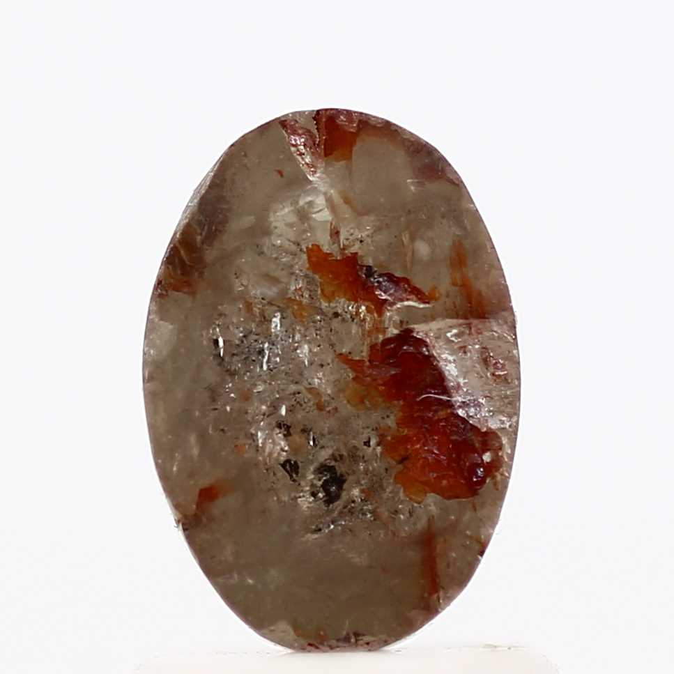 ClariOLED Transparent OLED Display price