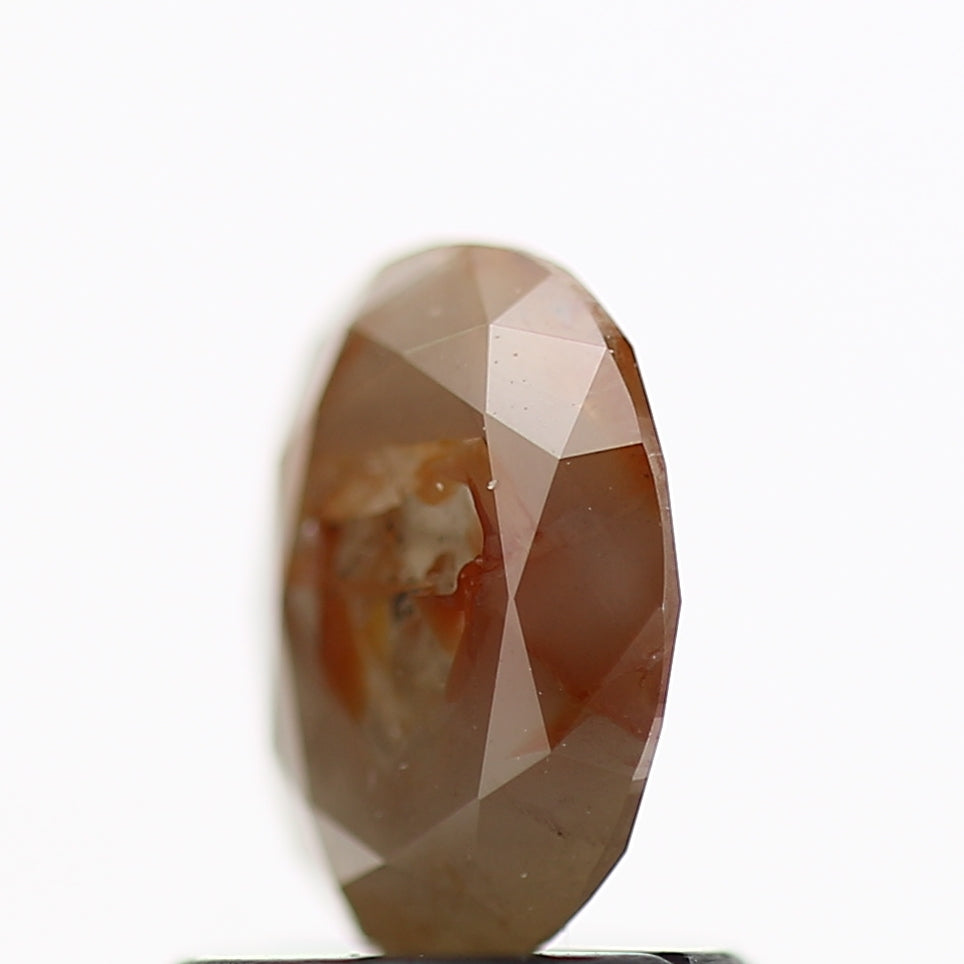 ClariOLED Transparent OLED Display price