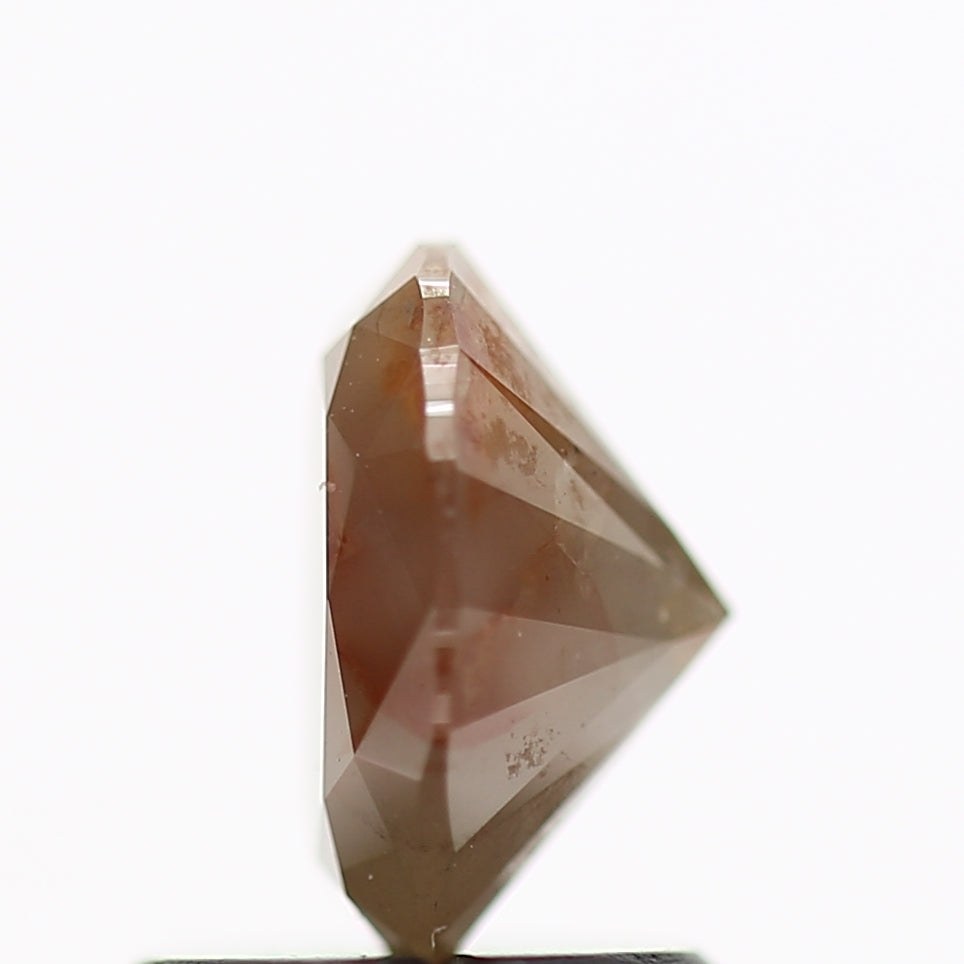 ClariOLED Transparent OLED Display price