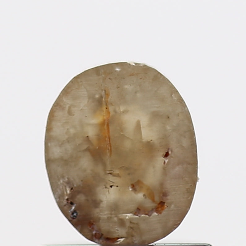 ClariOLED Transparent OLED Display price