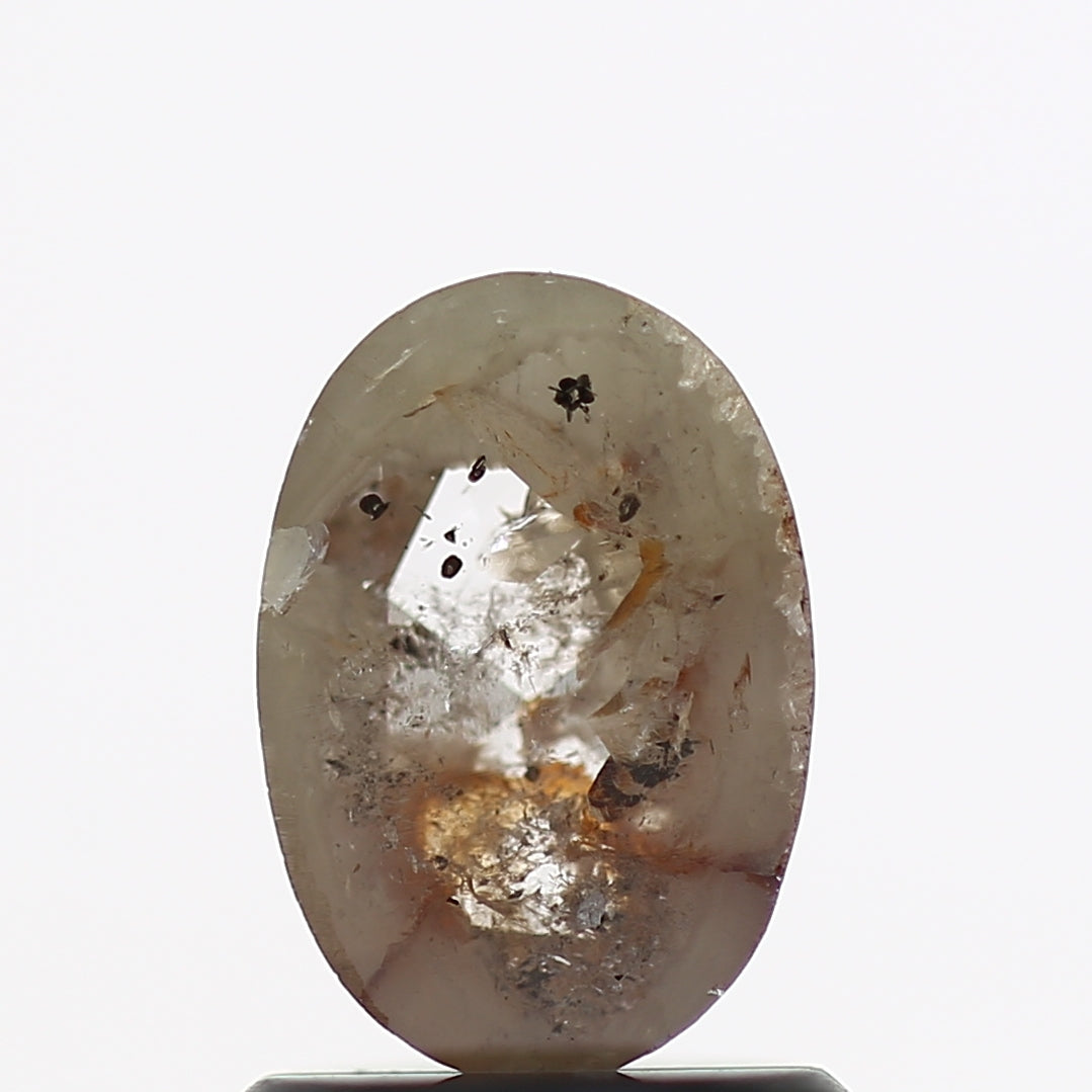 ClariOLED Transparent OLED Display price