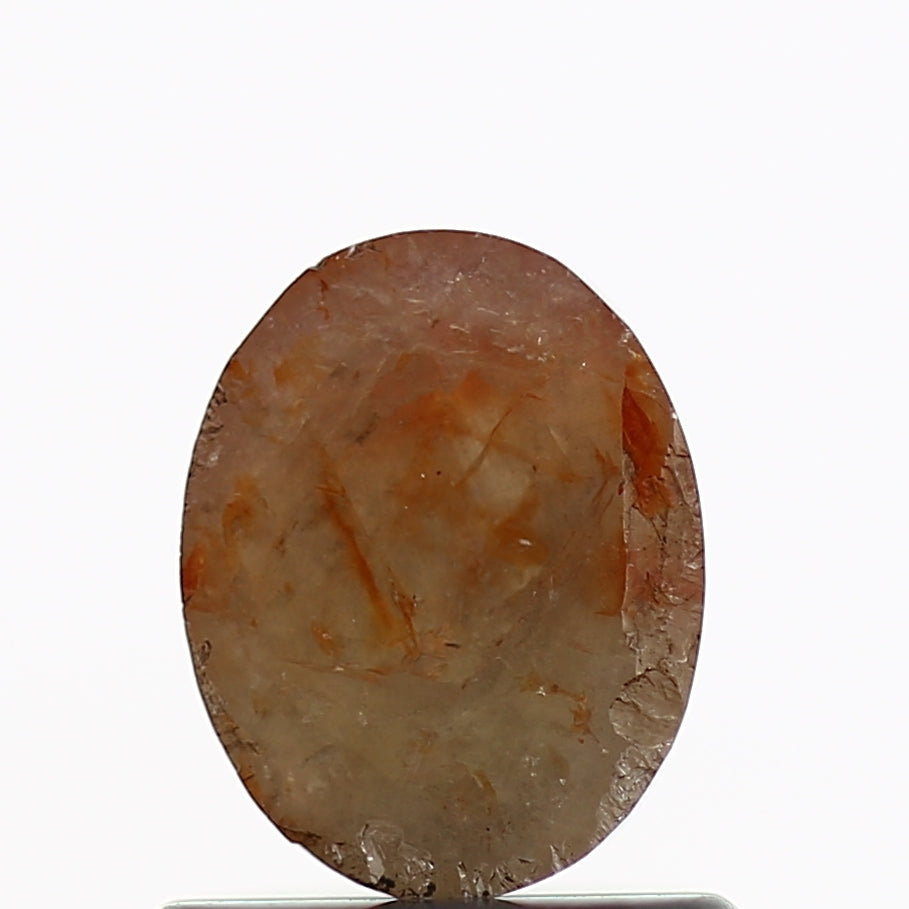 ClariOLED Transparent OLED Display price