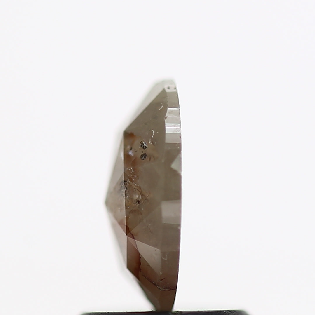 ClariOLED Transparent OLED Display price