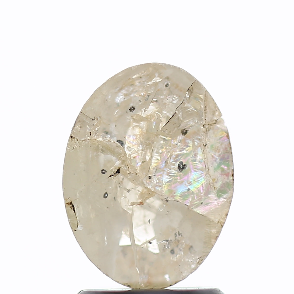 ClariOLED Transparent OLED Display price