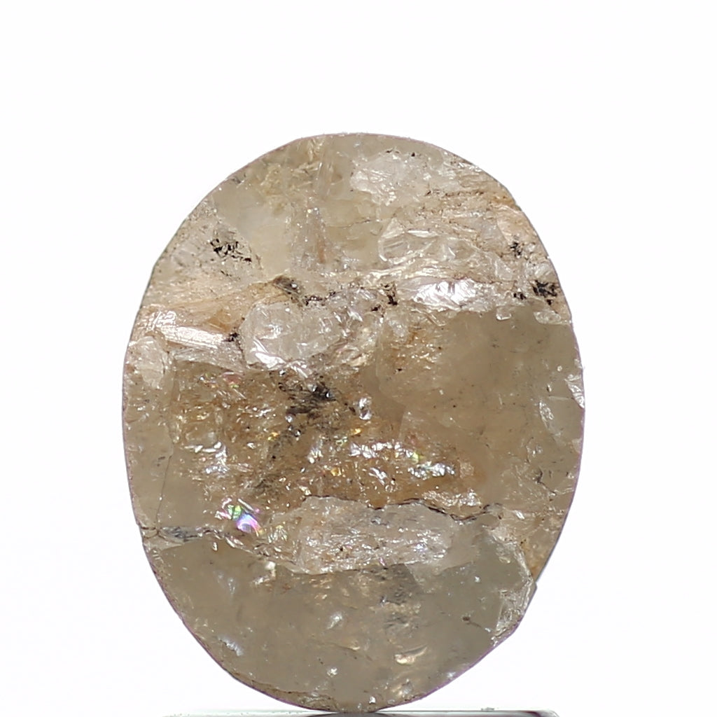 ClariOLED Transparent OLED Display price