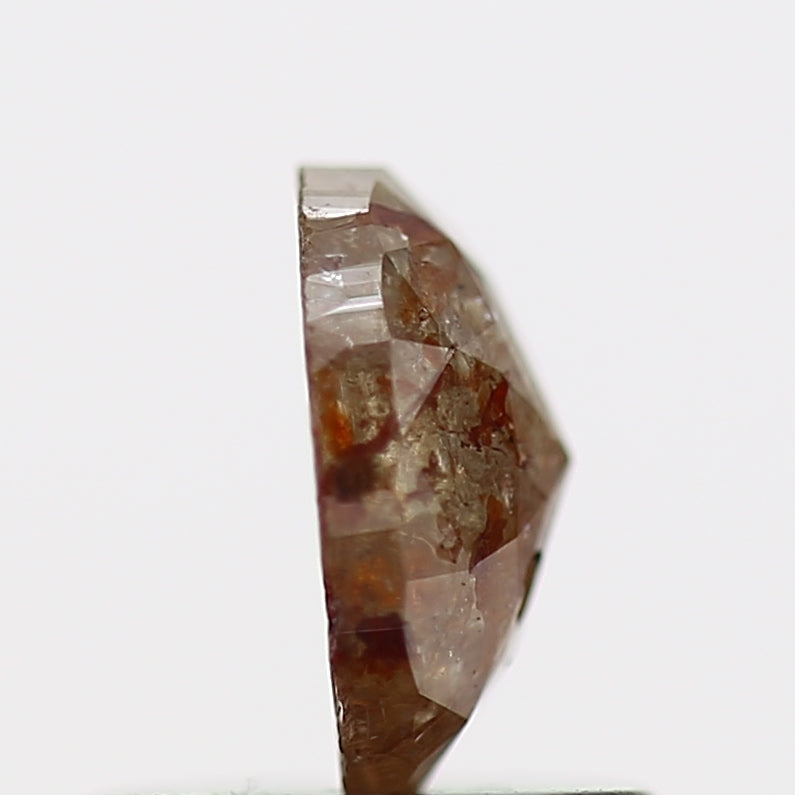 ClariOLED Transparent OLED Display price