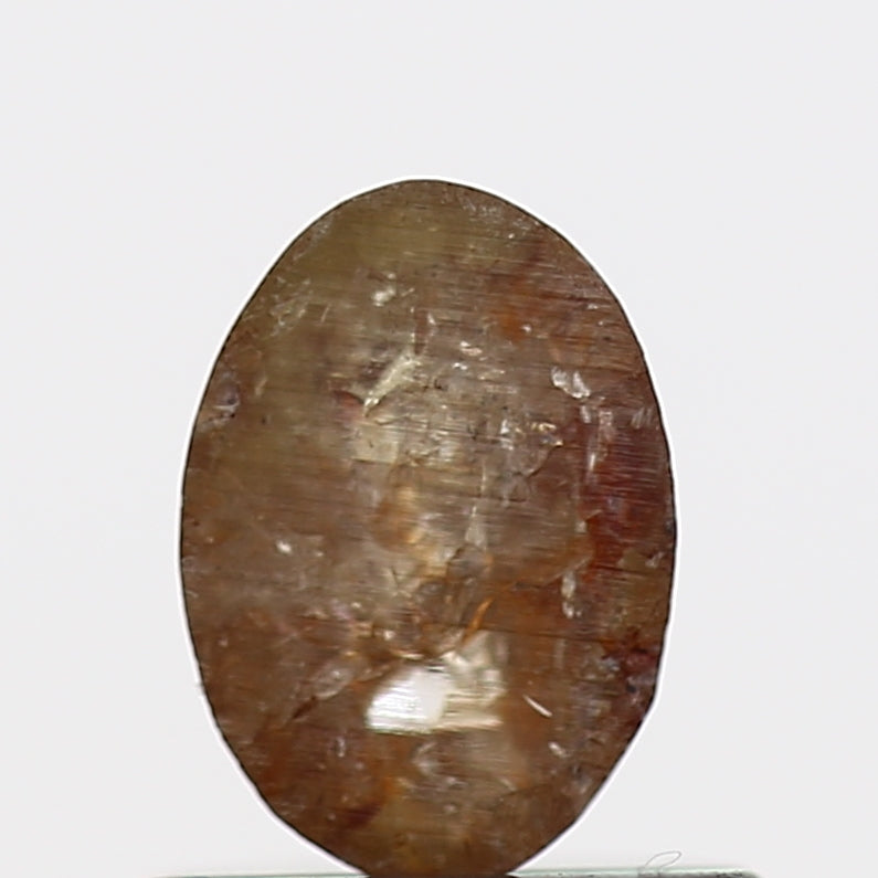 ClariOLED Transparent OLED Display price