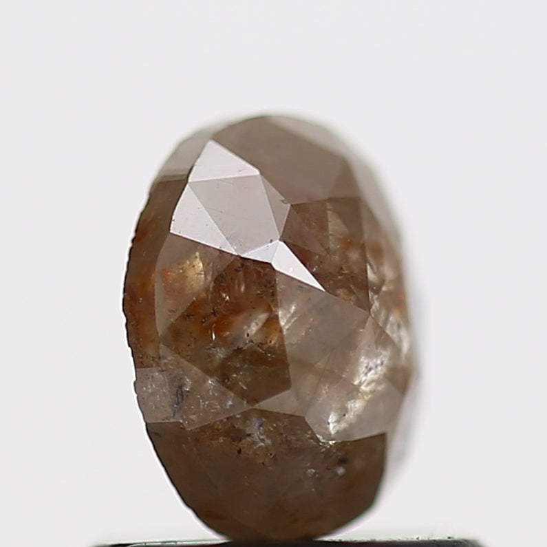 ClariOLED Transparent OLED Display price