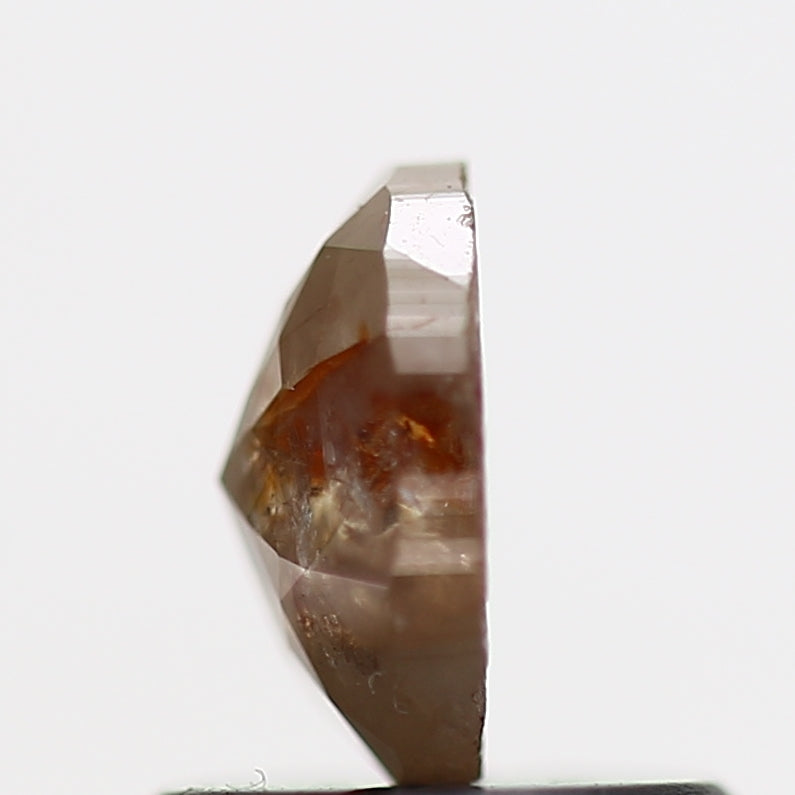 ClariOLED Transparent OLED Display price