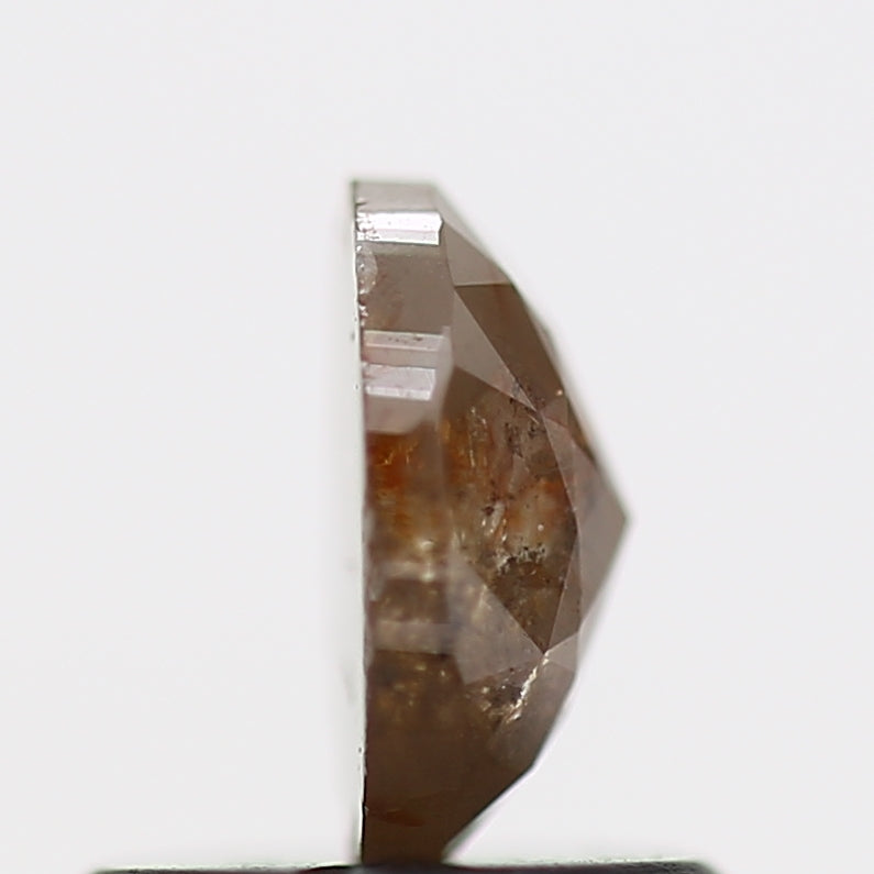 ClariOLED Transparent OLED Display price