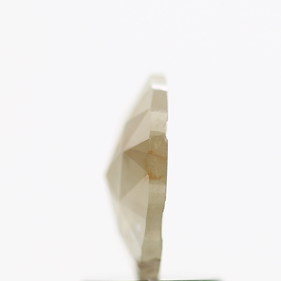 ClariOLED Transparent OLED Display price