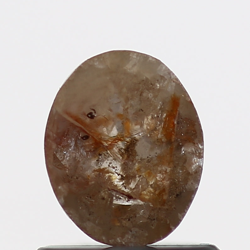 ClariOLED Transparent OLED Display price