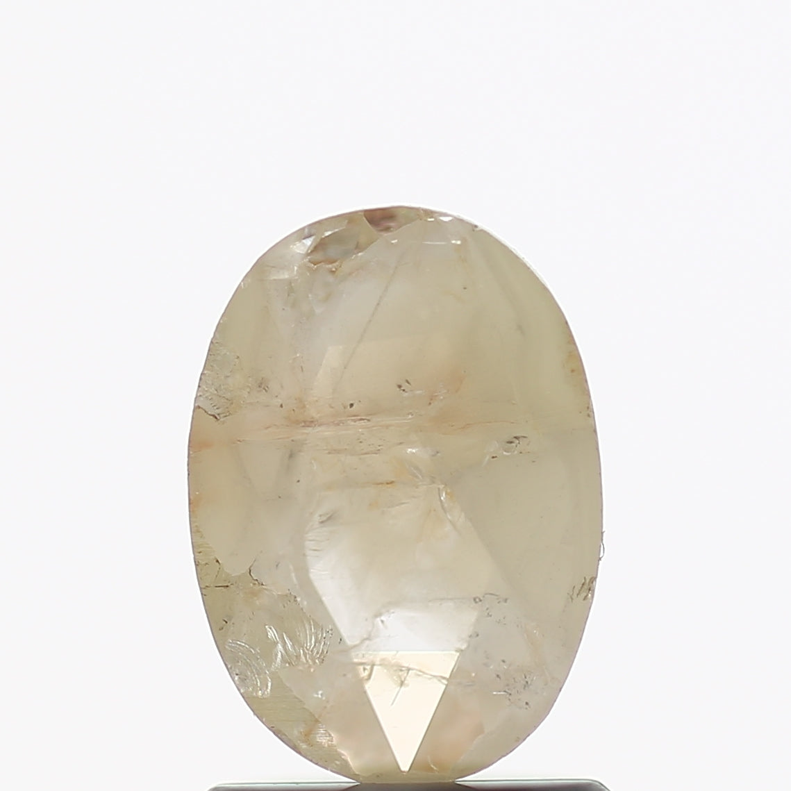 ClariOLED Transparent OLED Display price